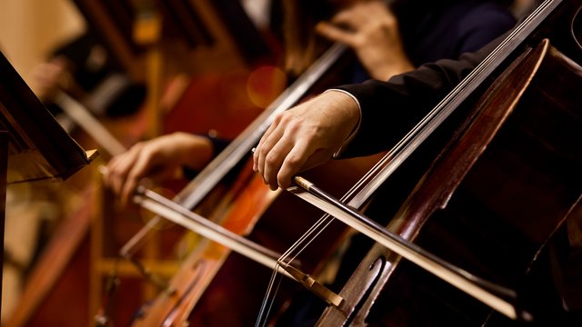 El Ciclo Sat�lite 8 estar� dedicado al violonchelo